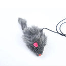 Brinquedo Elástico de Porta para Gatos