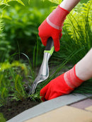 Ferramenta Manual Removedora de Ervas Daninhas